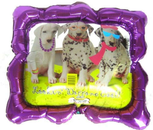 24" Lookin' Doggone Cool Frame