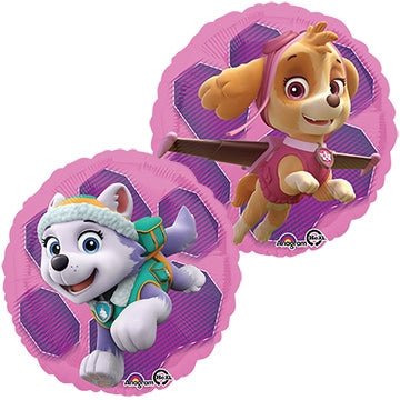 8" Paw Patrol - Skye & Everest