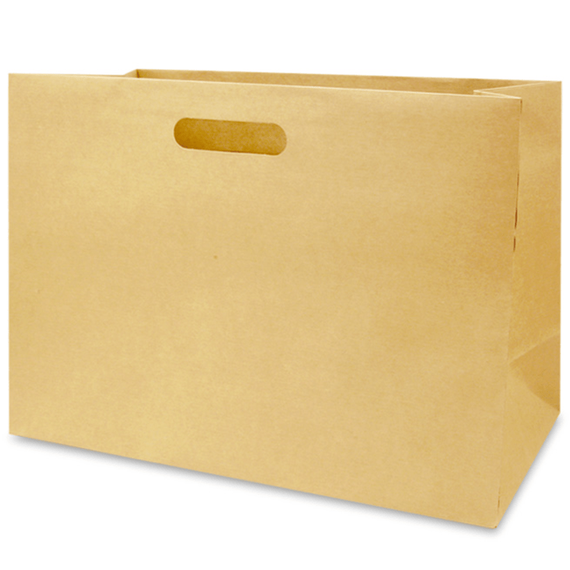 Kraft Bag - Die - Cut Boutique Large (12ct)