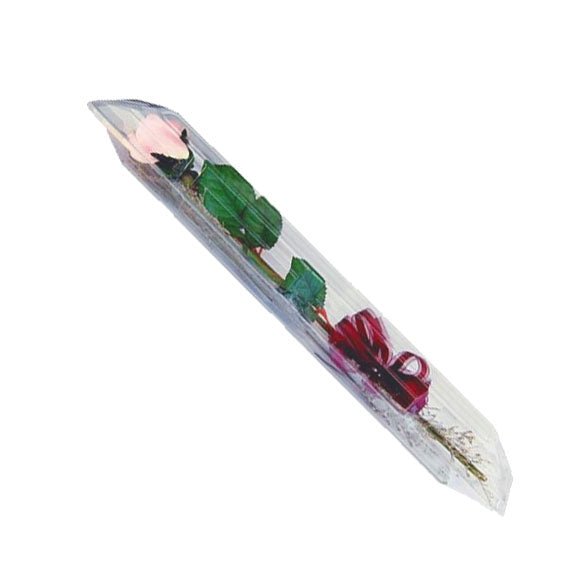 Small Single Rose Protector (100ct)