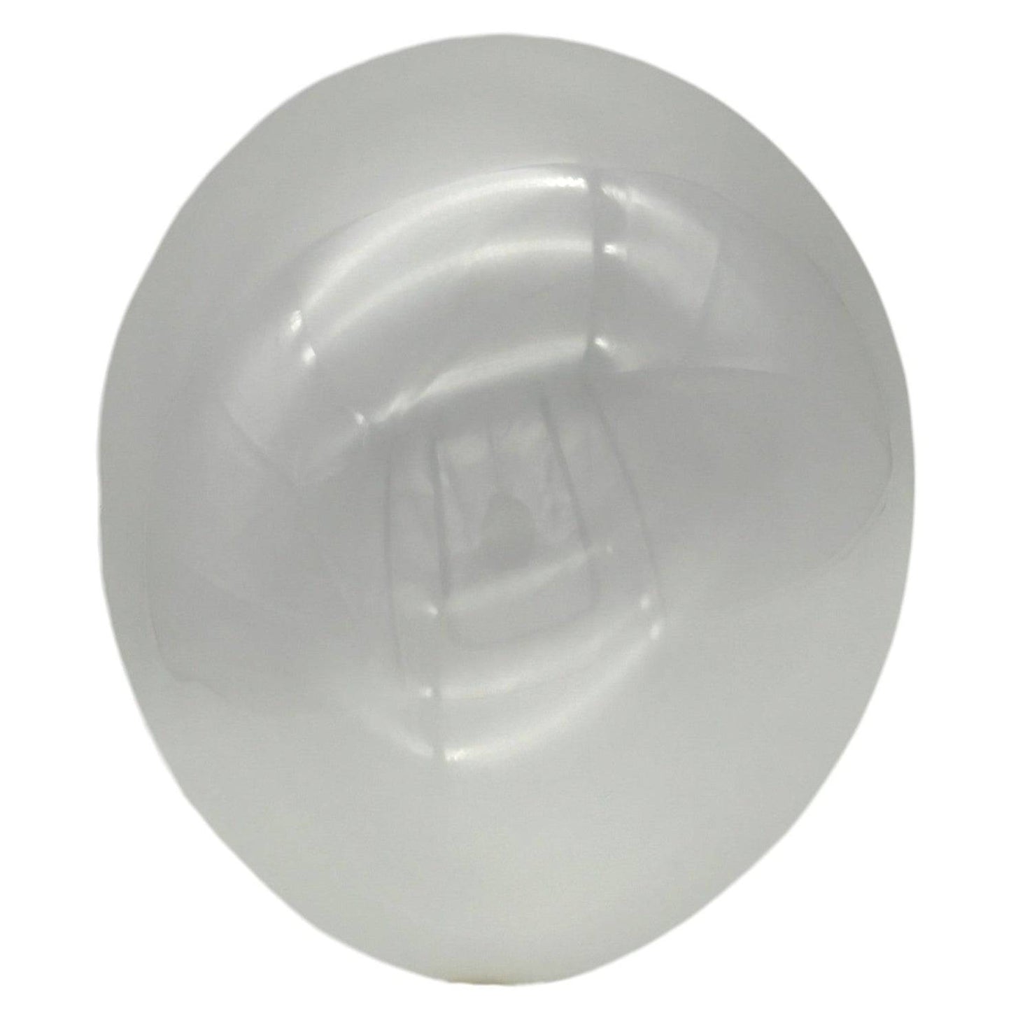 12" Latex - Standard (72ct) - Premium Party Distribution