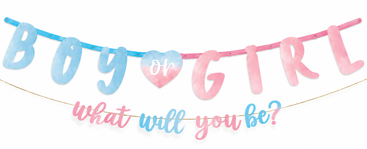 A pastel 'BOY or GIRL' and 'what will you be?' banner garland on a white background.