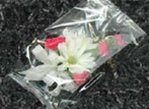 CLEAR Cello Bag 4" x 2" x 9" - Box of 100