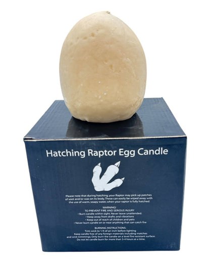 Hatching Raptor Egg Candle (1 Count)