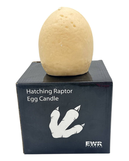 Hatching Raptor Egg Candle (1 Count)