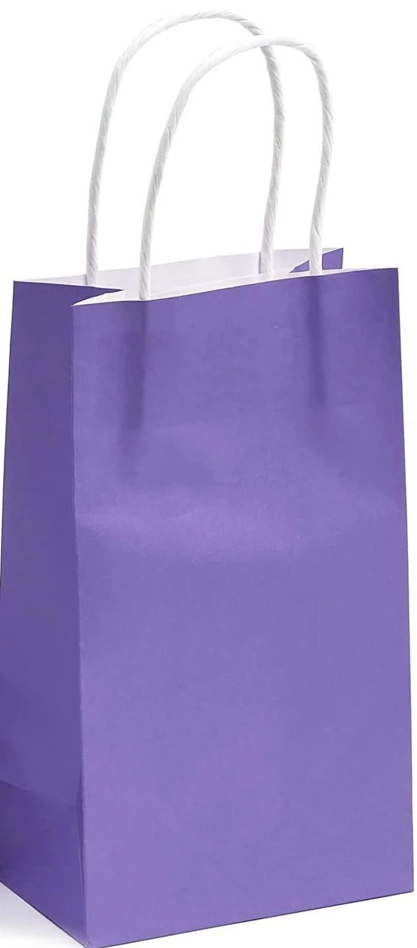 Kraft Paper Bags (12ct)