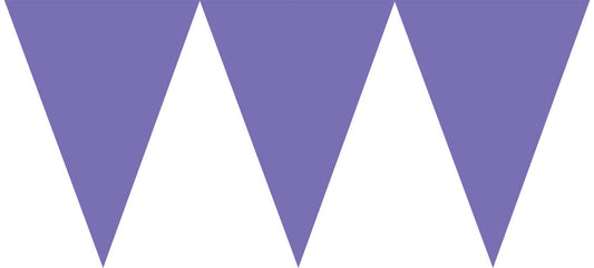 Purple Pennant Banner 24pc